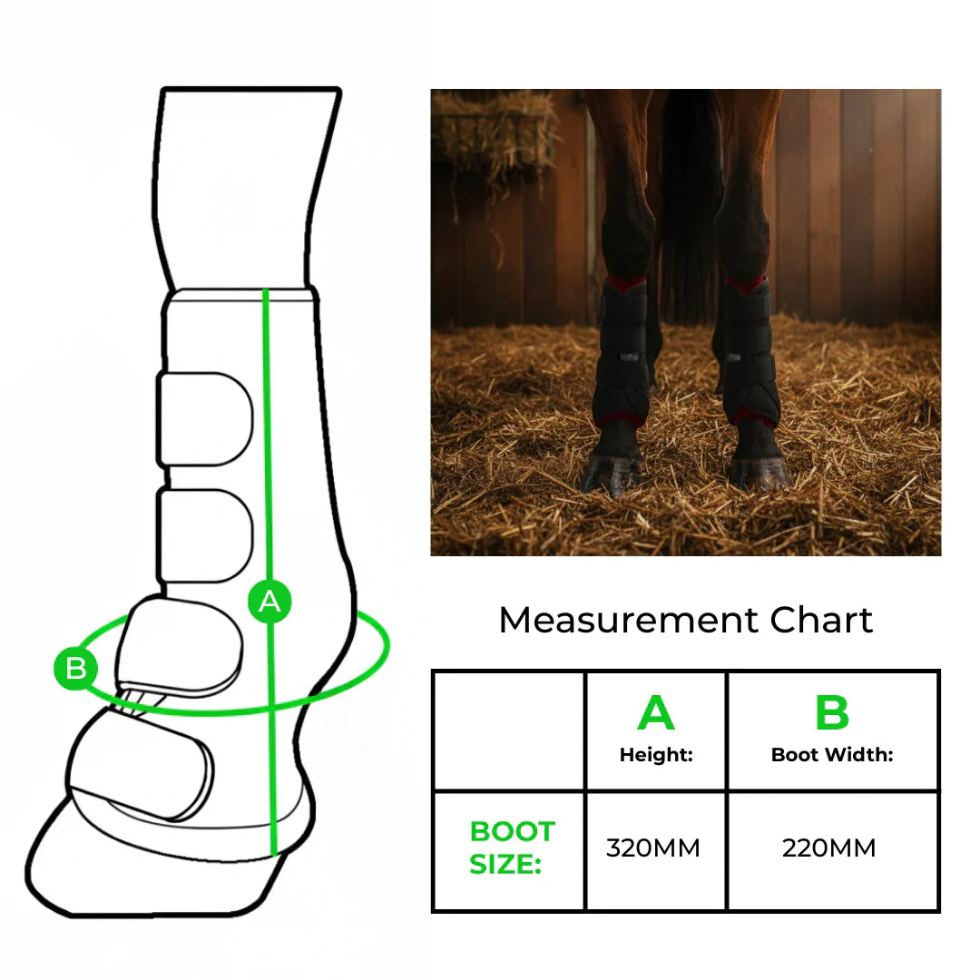 HorseHalo HaloLegs