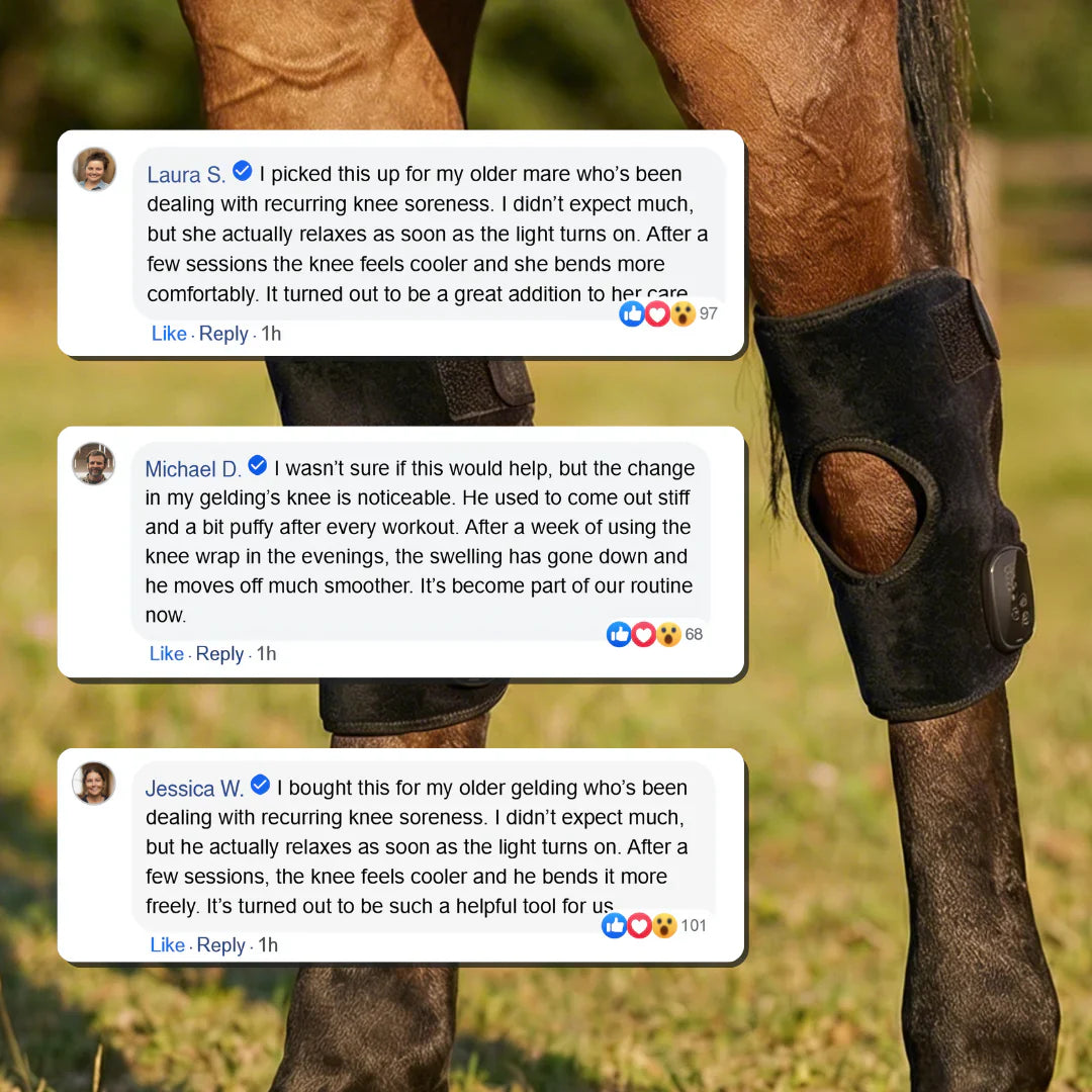 HorseHalo HaloHocks